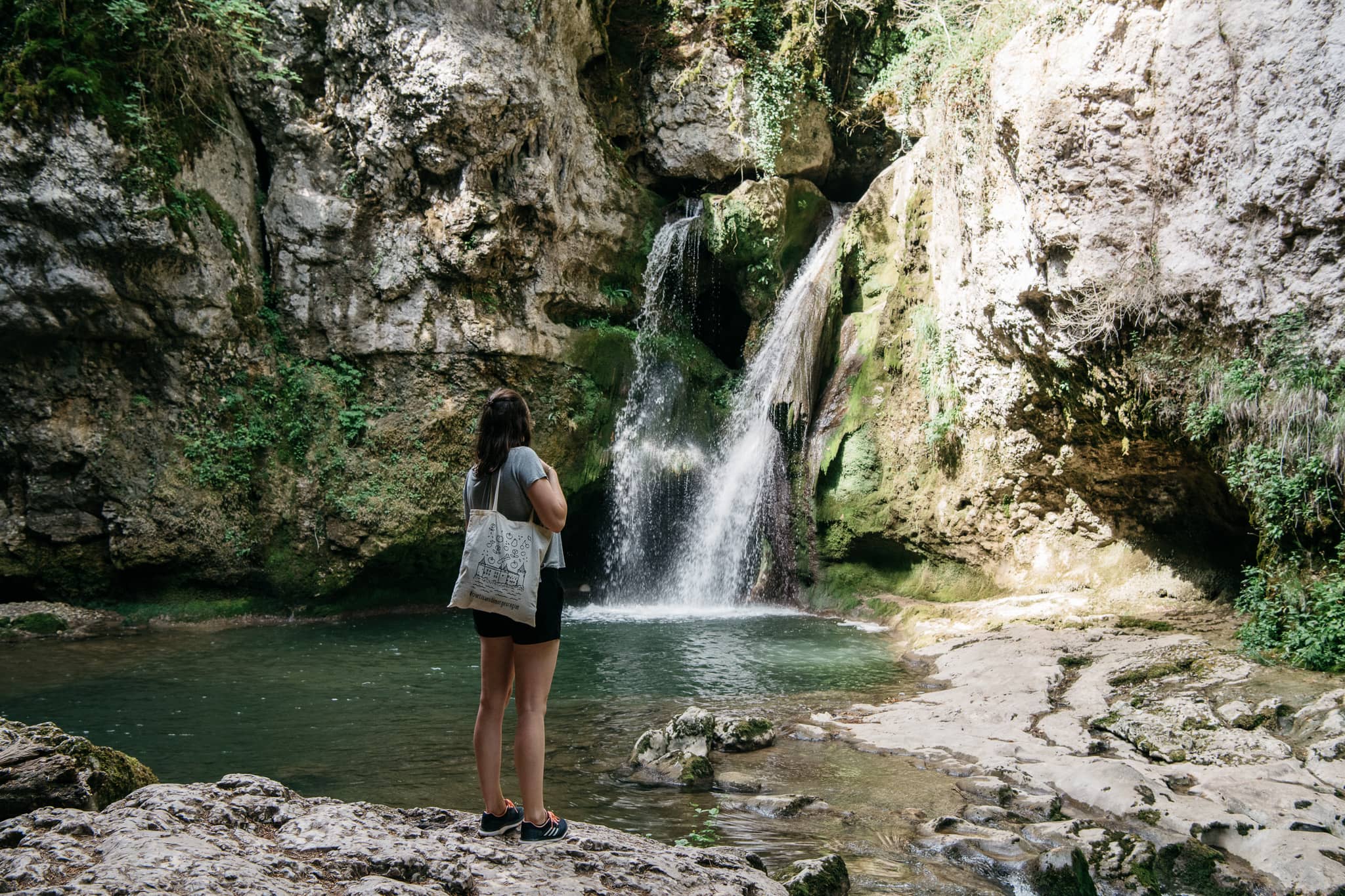 Tine de Conflens