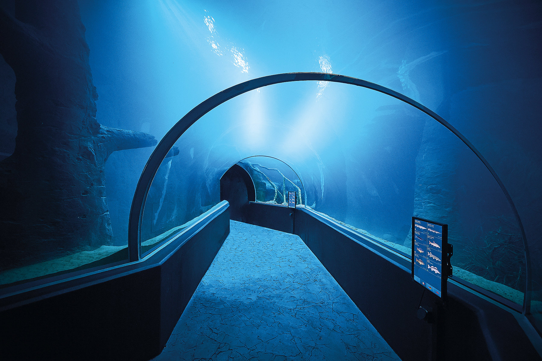aquatis lausanne