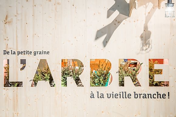 exposition l'arbre