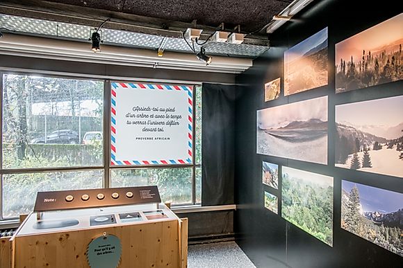 exposition l'arbre