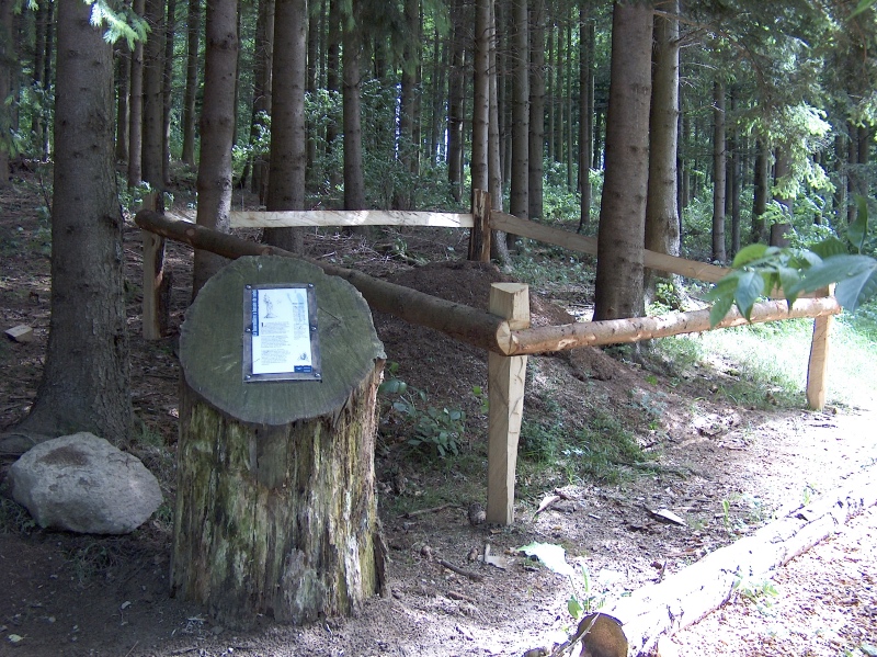 Bois des brigands